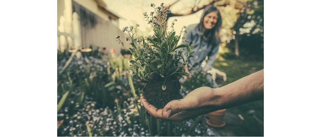 Экологичный тренд: Сумки-Шопперы