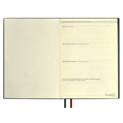 Ежедневник Avila, недатированный, черный