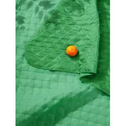 Плед для пикника Soft & Dry, светло-зеленый