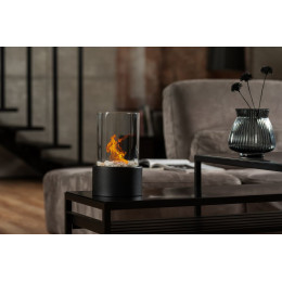 Биокамин Sera