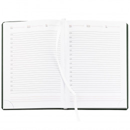 Ежедневник Sagrin, недатированный, зеленый