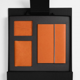 Набор Petrus Flap, оранжевый