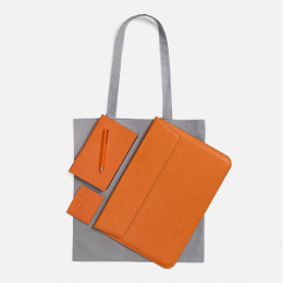 Набор Petrus Walk, оранжевый