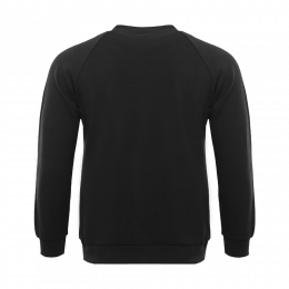 Свитшот унисекс хлопок/эластан 320, И54