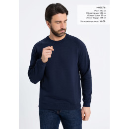 Свитшот унисекс STAN футер с начёсом 260, 53