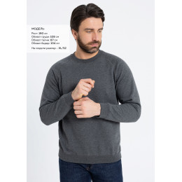 Свитшот унисекс STAN футер с начёсом 260, 53