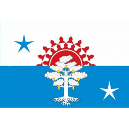 Флаг Серова