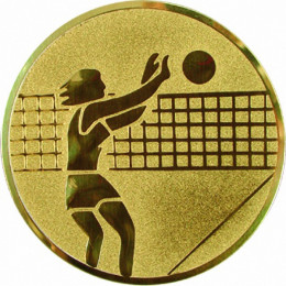 Жетон Волейбол (жен) (д.25) A7
