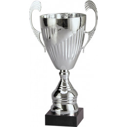 Кубок 7099D (31см) D-120