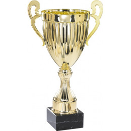 Кубок 3001A (44см) D-200