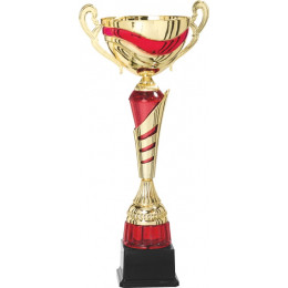 Кубок 4016E (30см) D-100