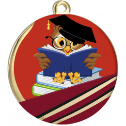 Медаль MMC5051/G/SCH