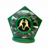 Приз из дерева (2-слойный) с УФ-печатью S  1-100 см2, толщина 4-5 мм